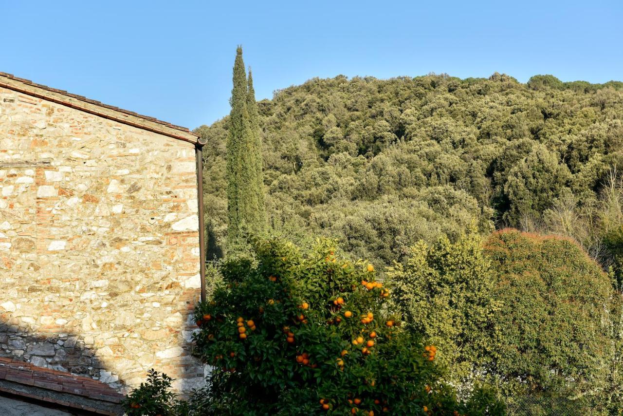 Camere Il Temperino Campiglia Marittima Esterno foto